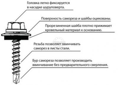 stroenie samoreza